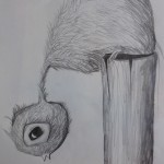 Bird on a pole – pen